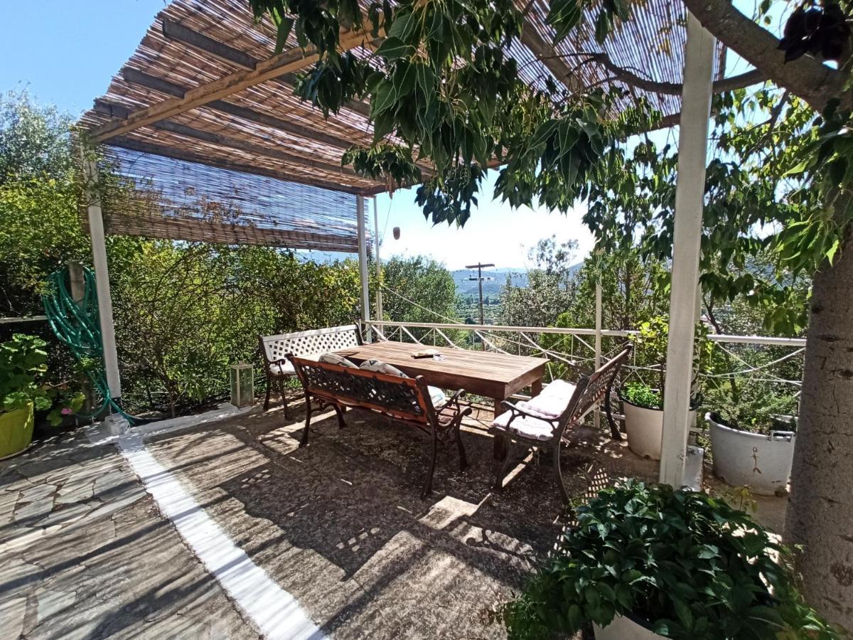 Heras Garden فاسيليكي المظهر الخارجي الصورة