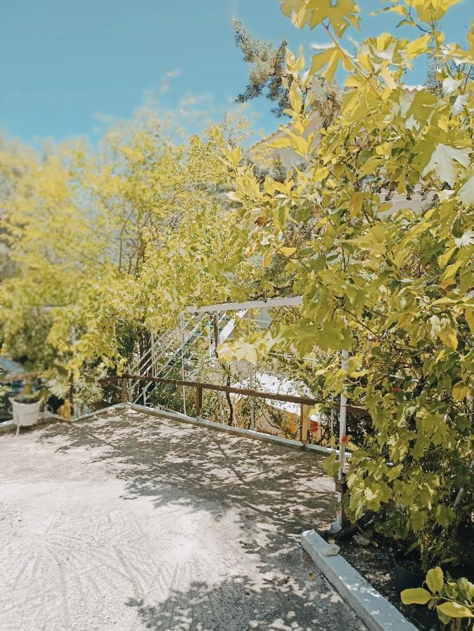 Heras Garden فاسيليكي المظهر الخارجي الصورة